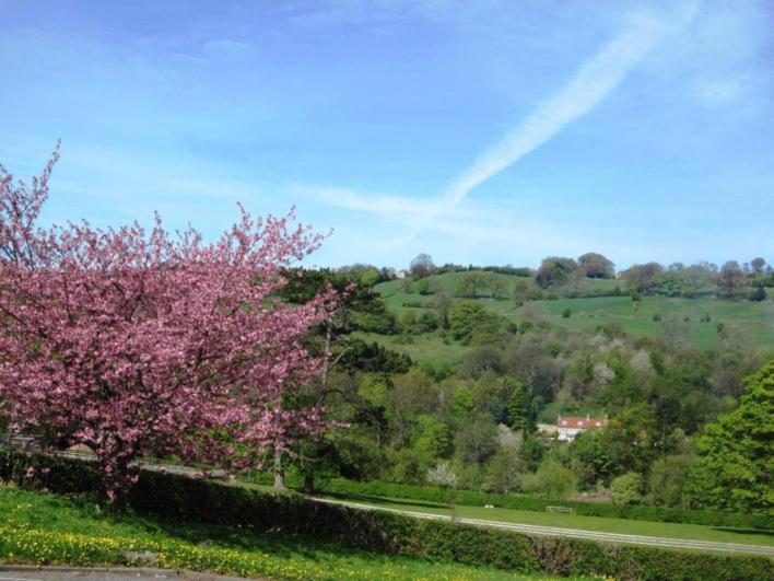 Beechlands B & B Sleights Dış mekan fotoğraf