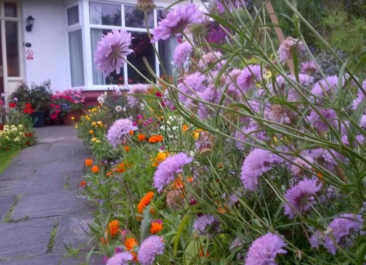 Beechlands B & B Sleights Dış mekan fotoğraf
